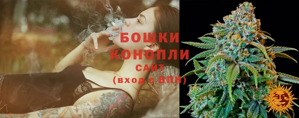 СК Новодвинск