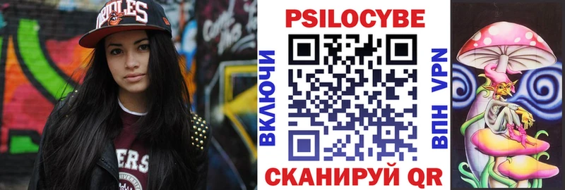 Галлюциногенные грибы Psilocybe  закладки  Черногорск 