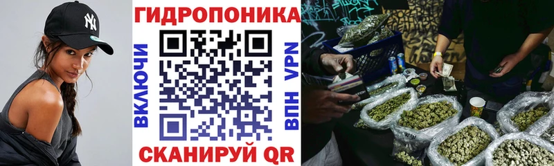 Бошки Шишки планчик  Черногорск 